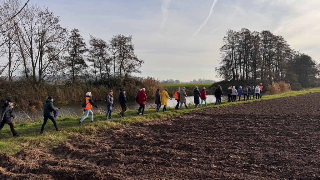 Veertig mensen wandelen langs de rivier op 't Gelders Eiland in de natuur.