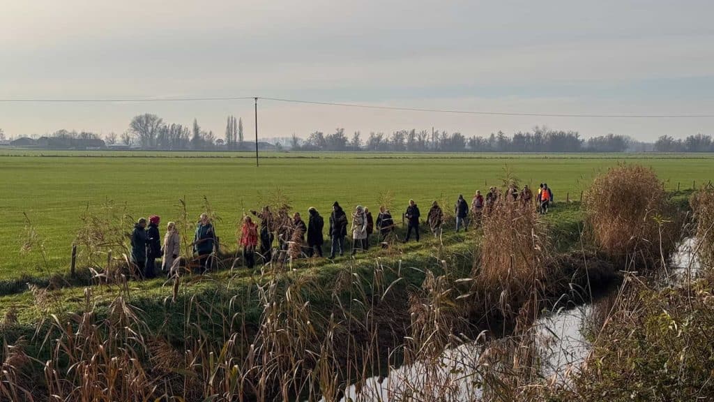 Zomerse wandeling langs de weilanden op 't Gelders Eiland met groep wandelaars.