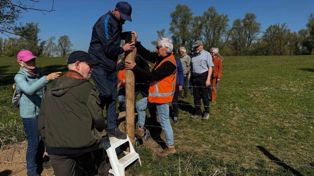 Een groep mensen plant een boom op 't Gelders Eiland, met vrijwilligers en lokale bewoners in een gr.