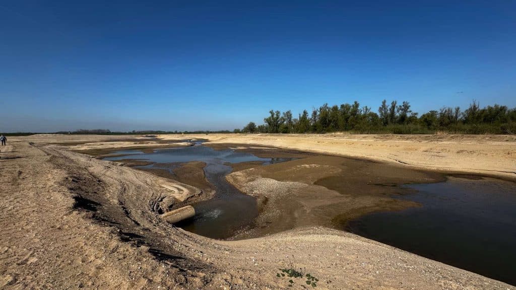 Zandstrand en rivier op 't Gelders Eiland met blauwe hemel en groene bomen.