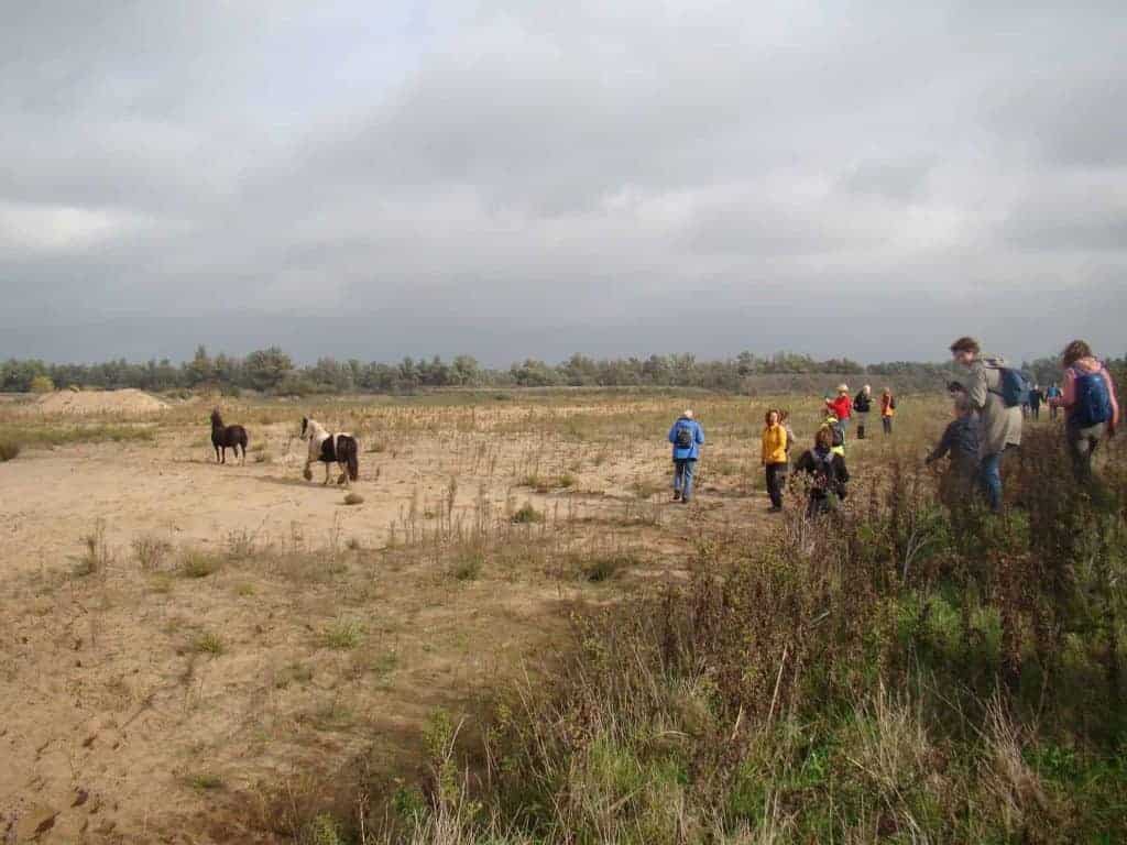 Wandelaars op 't Gelders Eiland met paarden en natuur in de achtergrond.