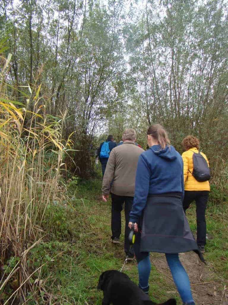 Natuurlijke wandeling op 't Gelders Eiland met groep wandelaars in de natuur.