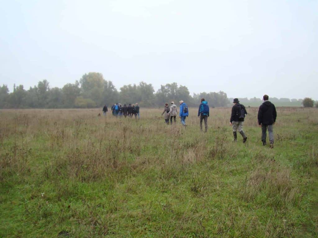Wandelgroep op 't Gelders Eiland in een uitgestrekt grasland met bomen op de achtergrond.