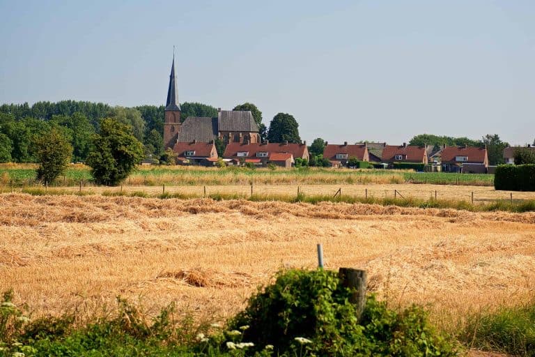 Uitzicht op het platteland van 't Gelders Eiland met kerk en boerderijen.