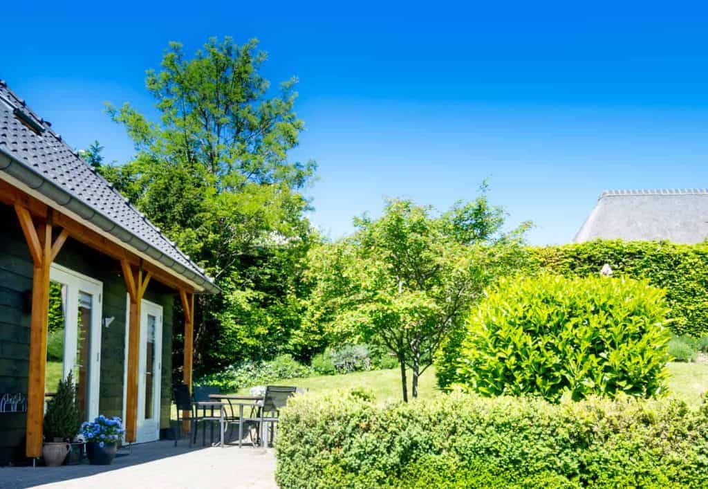 Zomerzicht op 't Gelders Eiland met groene bomen en een terras onder een heldere blauwe lucht.