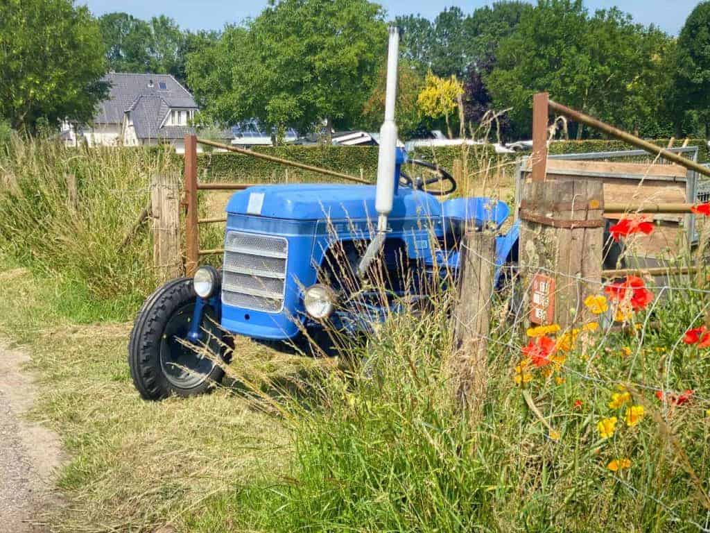 Oude blauwe tractor in een weiland op 't Gelders Eiland, omgeven door bloemen en groen landschap.