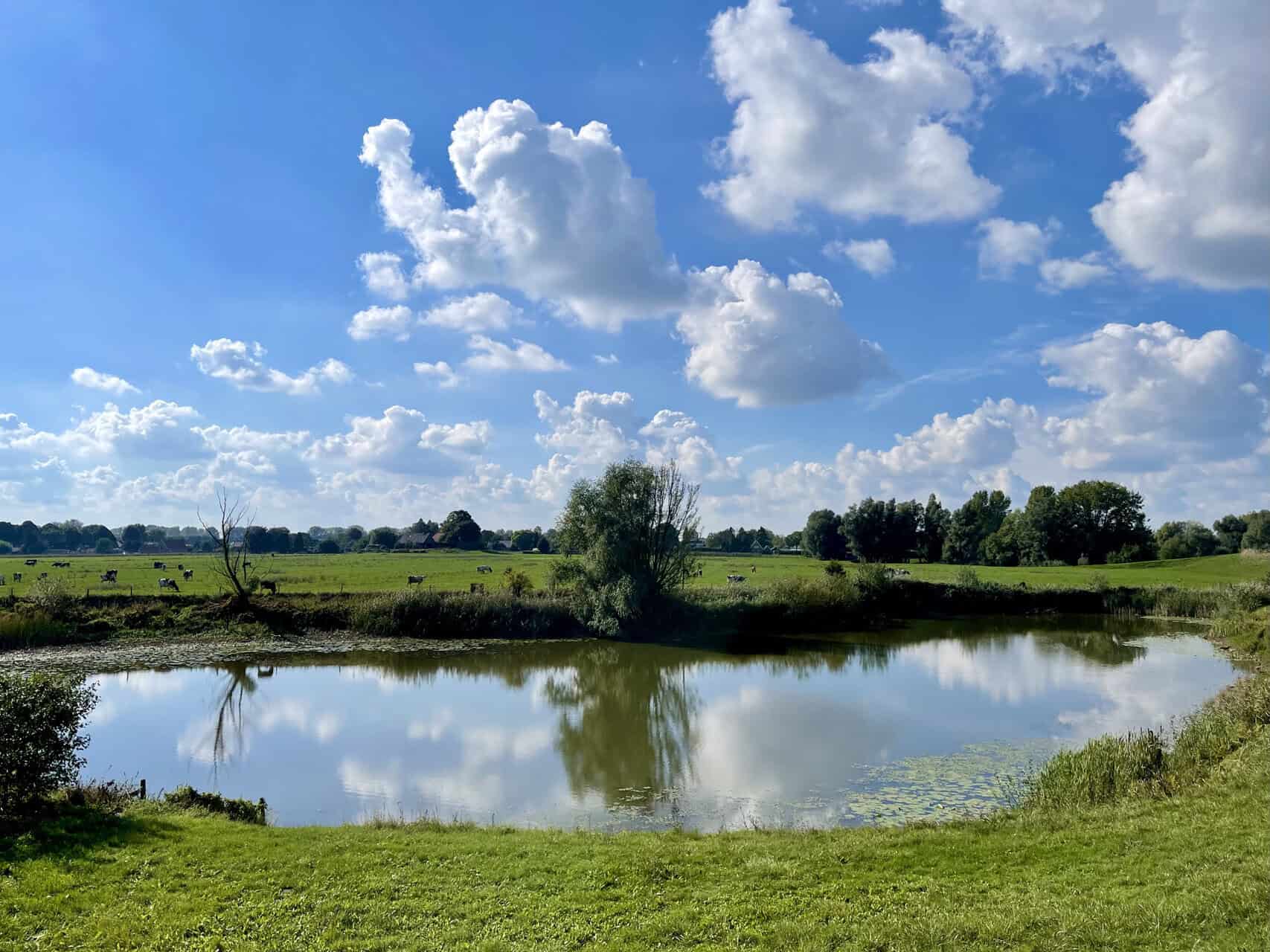 Uitzicht op water en groene velden op 't Gelders Eiland onder een heldere blauwe hemel.