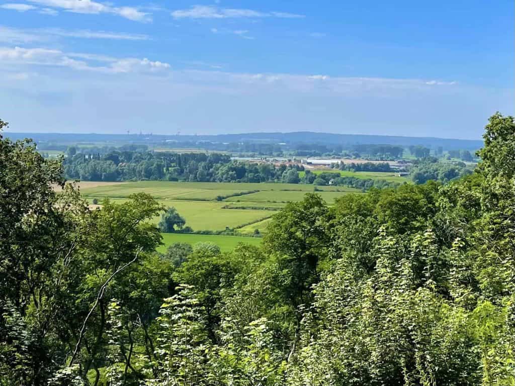 Zicht op het groene landschap en de weilanden op 't Gelders Eiland onder een heldere blauwe hemel.