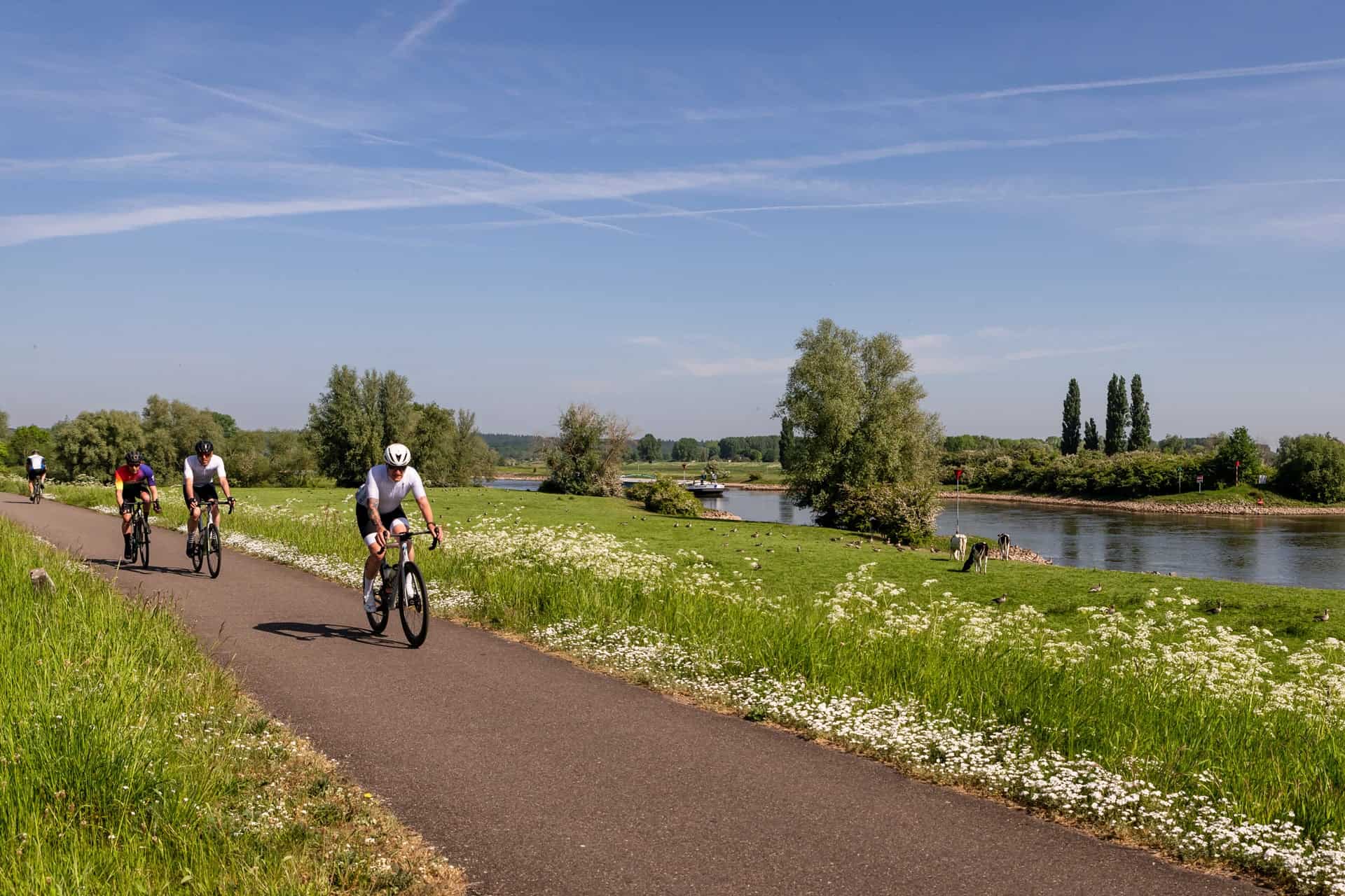 Fietsen langs de rivier op 't Gelders Eiland met groene velden en blauwe hemel.