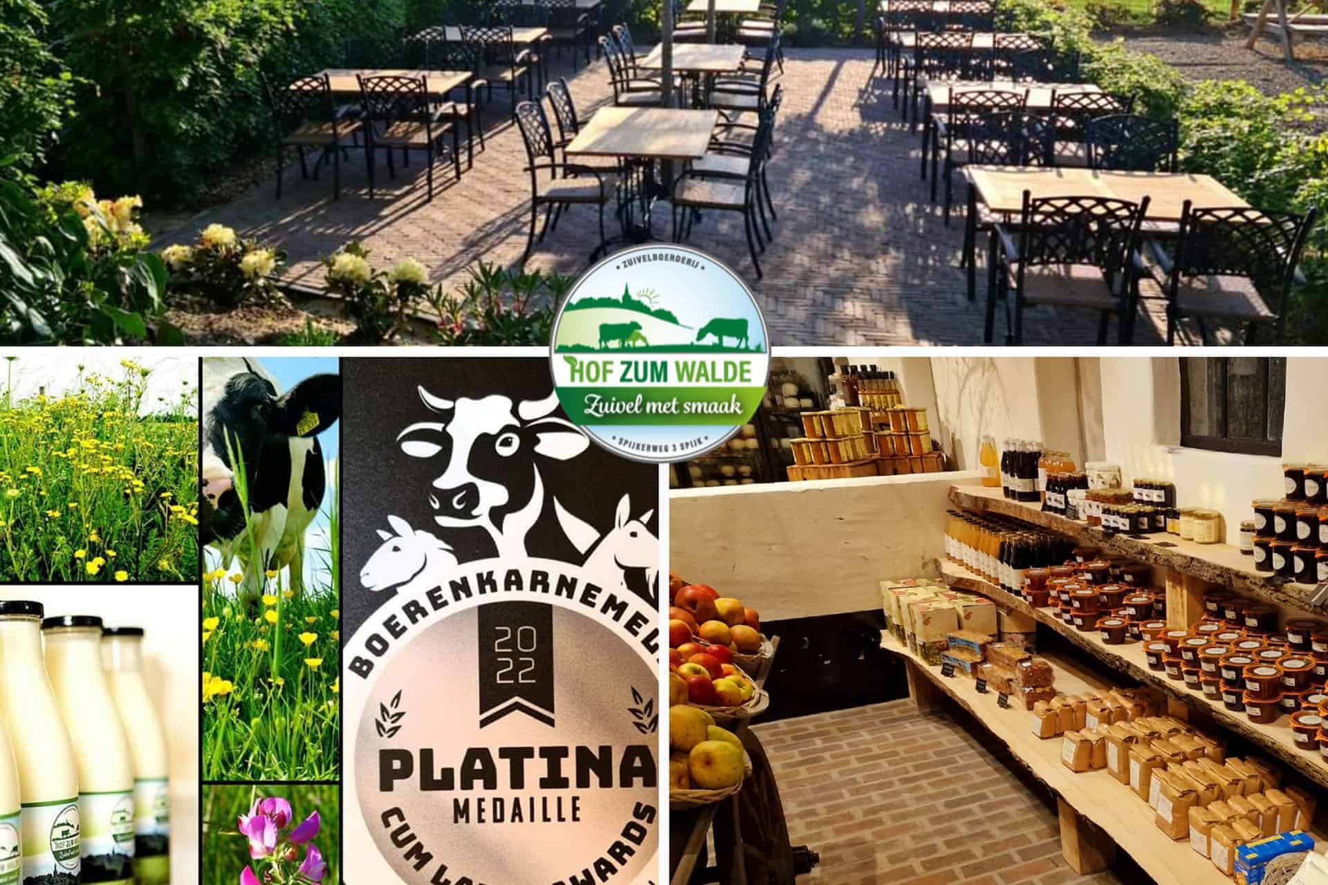 Gezellig terras met uitzicht op tuin op 't Gelders Eiland, ideaal voor ontspanning en genieten van d.