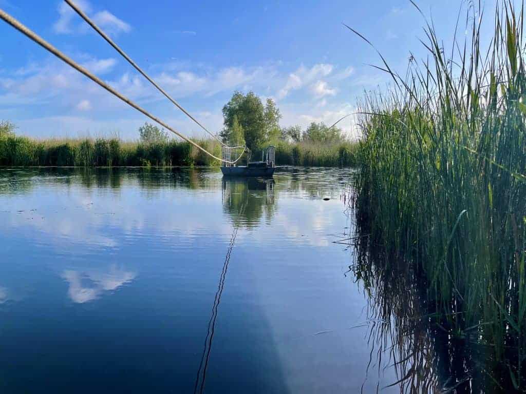 Veerpont op water met riet en blauwe lucht, rustiek landschap.