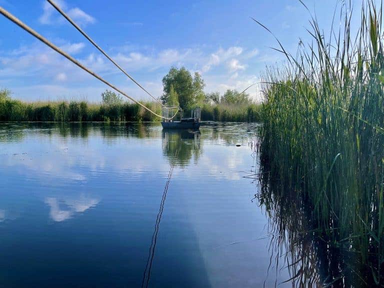 Veerpont op water met riet en blauwe lucht, rustiek landschap.