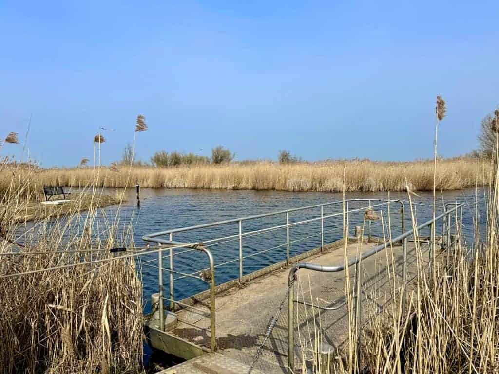 Veerpont in de natuur met riet en water, onder een blauwe hemel.