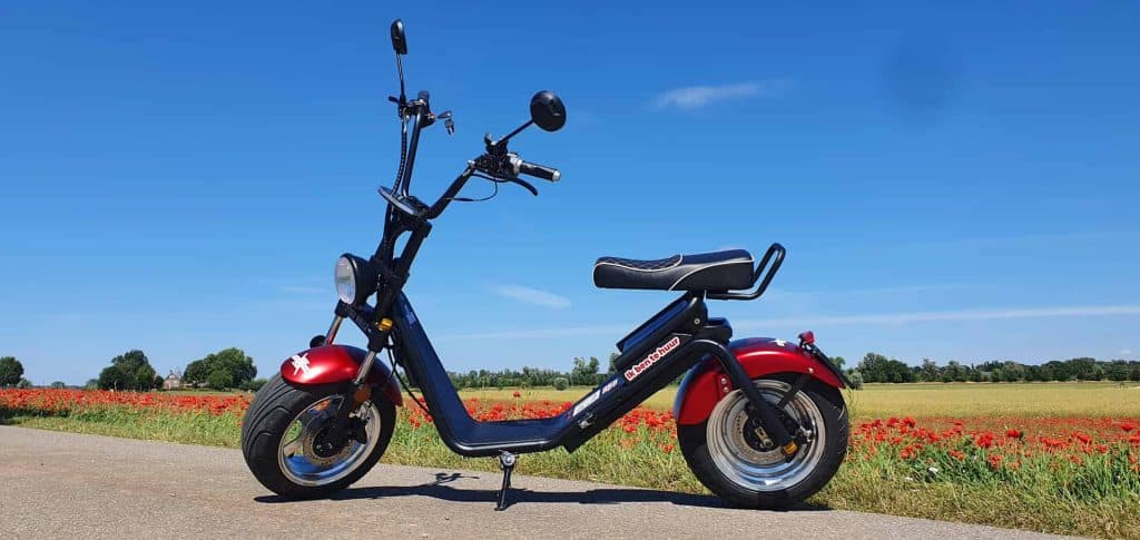 Elektrische scooter op 't Gelders Eiland, met open landschap en blauwe lucht op de achtergrond.