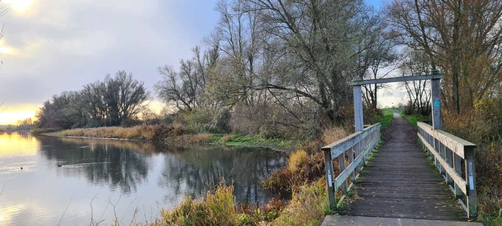 Rustige wandelbrug over de rivier op 't Gelders Eiland, omgeven door bomen en natuur.