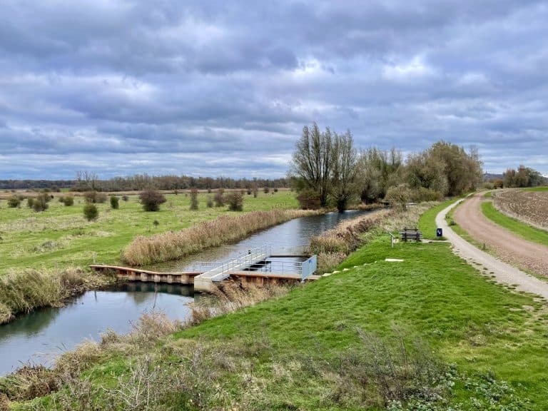 Uitzicht op een rustige rivier met groene weilanden en een wandelpad op 't Gelders Eiland.