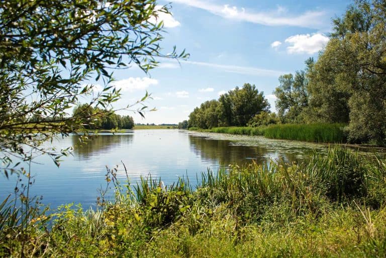 Rustige rivier met groene oevers en blauwe hemel op ’t Gelders Eiland.