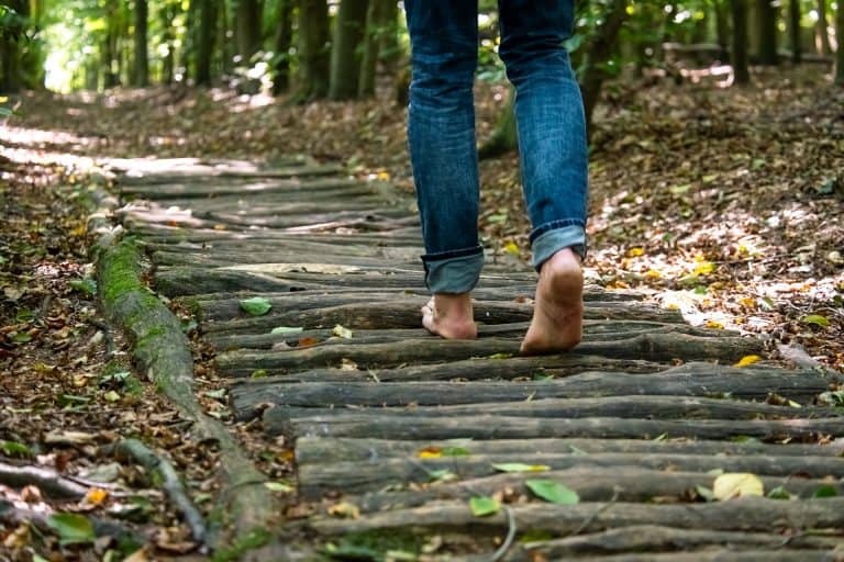 Rustige boswandeling op 't Gelders Eiland met houten pad en groene omgeving.