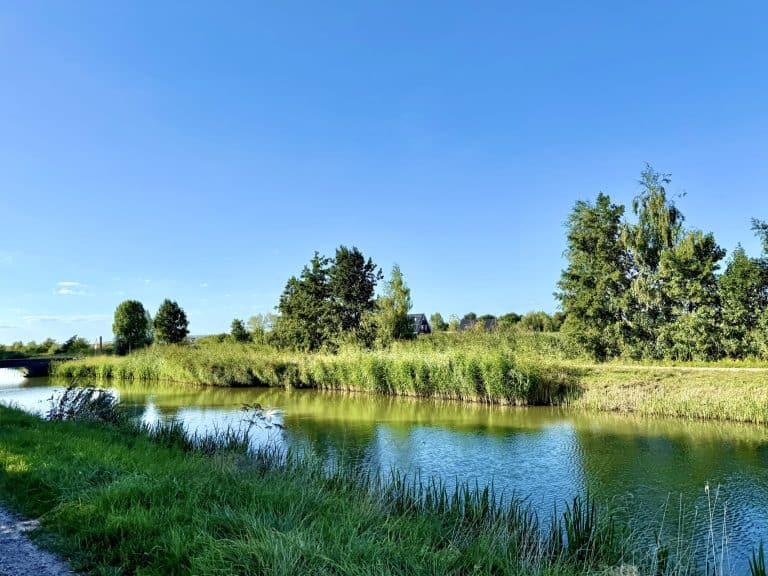 Rustige rivier met groene oevers en bomen op 't Gelders Eiland onder een heldere blauwe hemel.