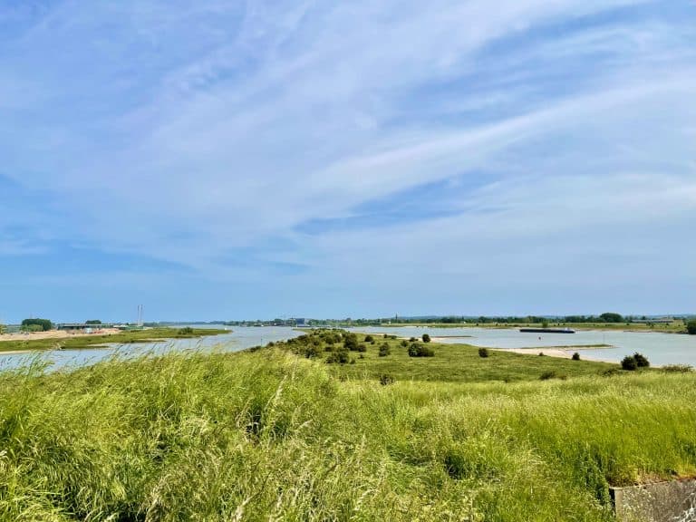Gelders Eiland landschap met water, gras en blauwe lucht, typisch natuurgebied in Nederland.
