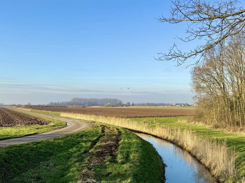 Uitzicht op het platteland en de rivier op 't Gelders Eiland.