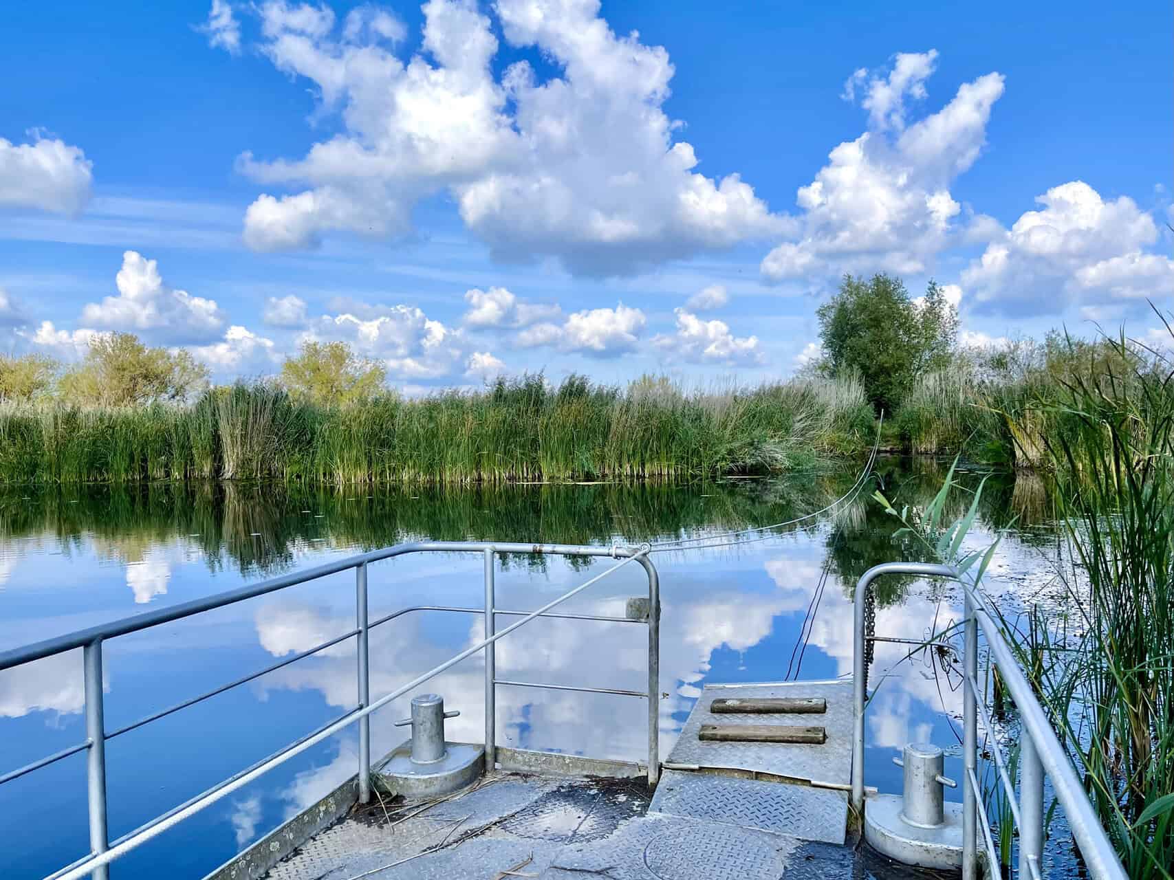 Uitzicht op het water en de natuur bij 't Gelders Eiland, met een bootsteiger onder een heldere blau.