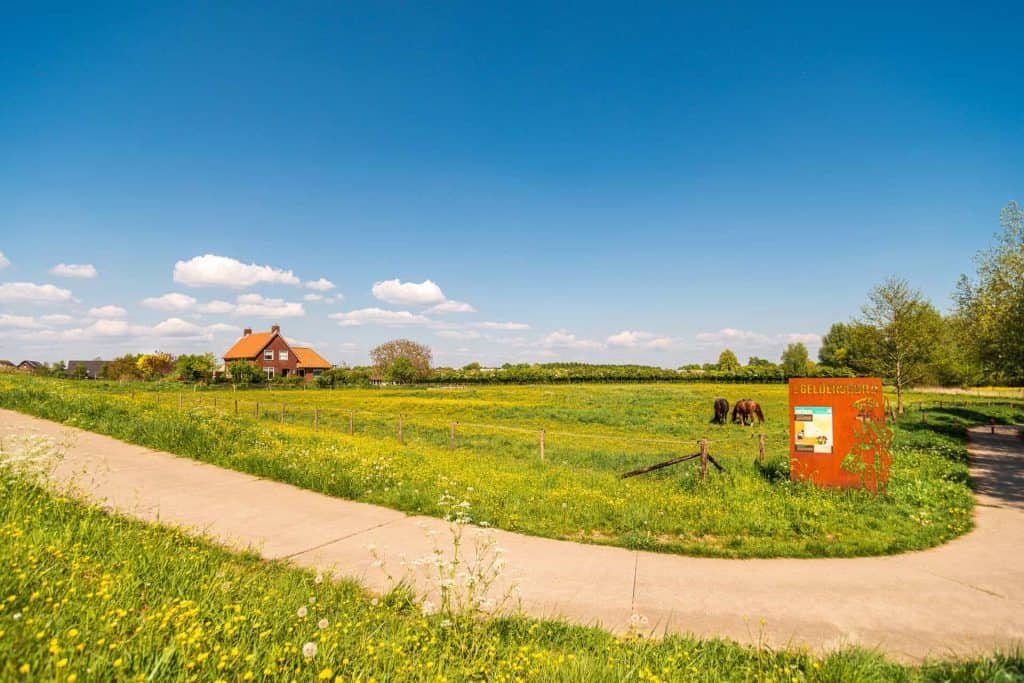 Uitzicht op Gelders Eiland met wandelpad, groen landschap en informatiebord.