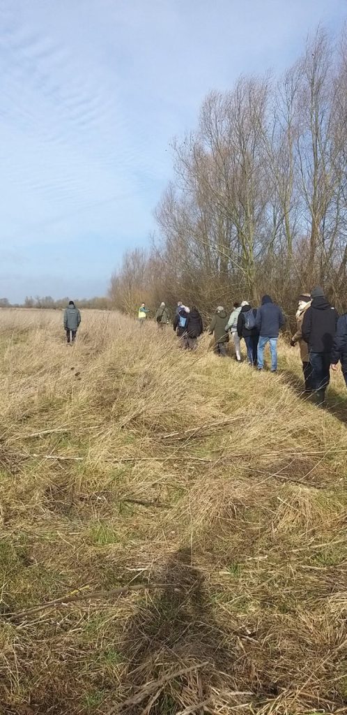 Gezelschap wandelaars op het platteland van 't Gelders Eiland in de natuur.
