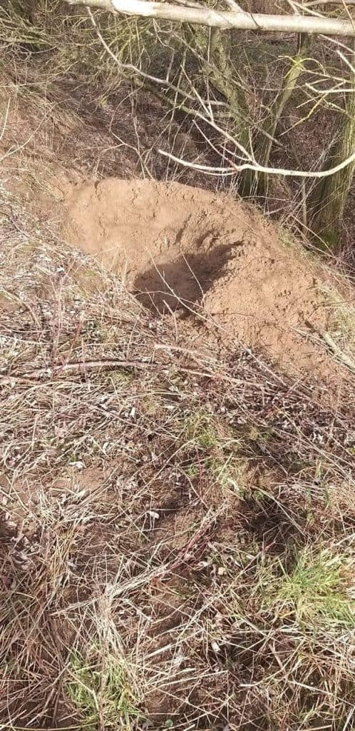Een ondiep gat in de aarde op 't Gelders Eiland, omgeven door gras en struiken.