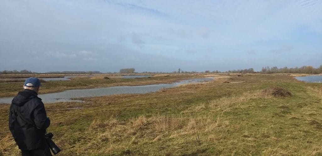 Landschap op 't Gelders Eiland met water en natuur, ideaal voor rust en recreatie.