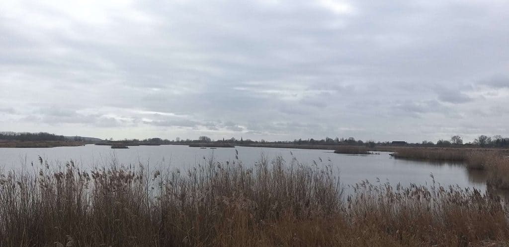 Natuurfoto van 't Gelders Eiland met water en rietvelden onder een bewolkte hemel.