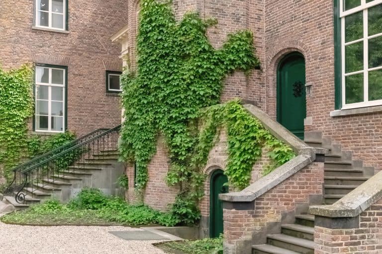 Oude gevel met klimop en trap op 't Gelders Eiland, historische sfeer.