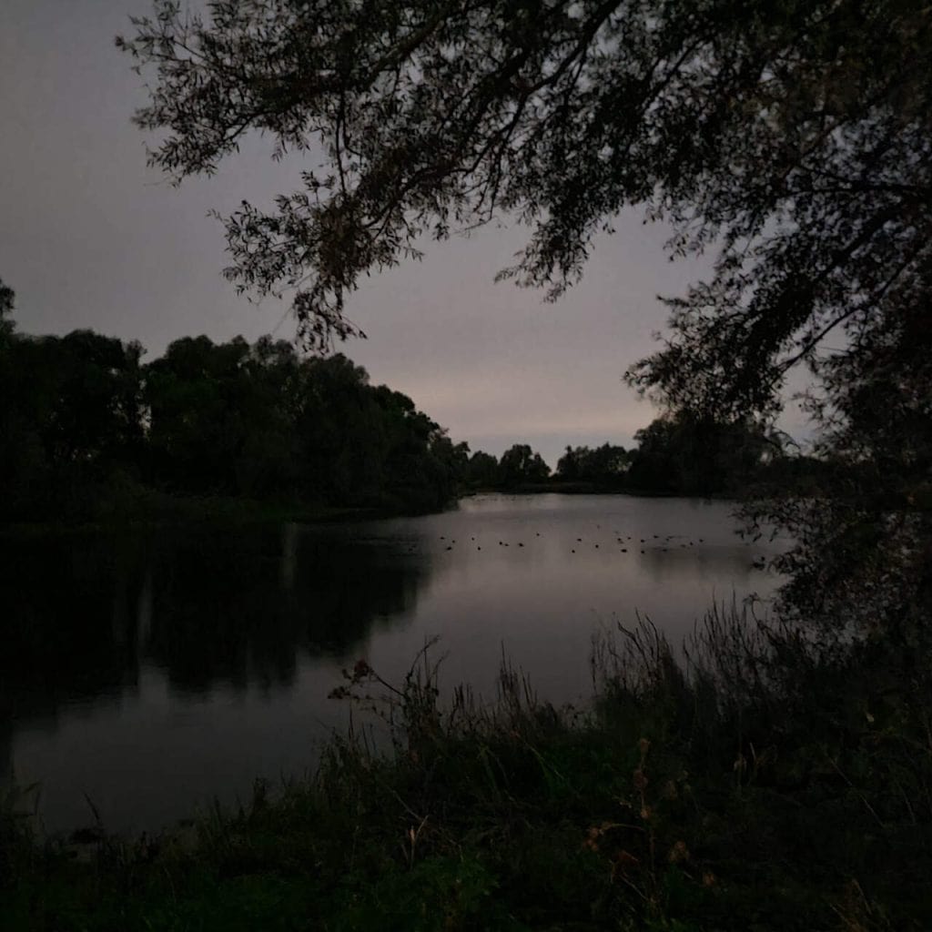 Rustige rivier met bomen en ondergaande zon op 't Gelders Eiland.