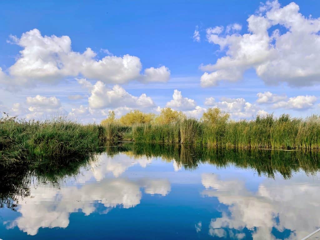 Uitzicht op water en groene natuur op 't Gelders Eiland met heldere lucht en wolken.