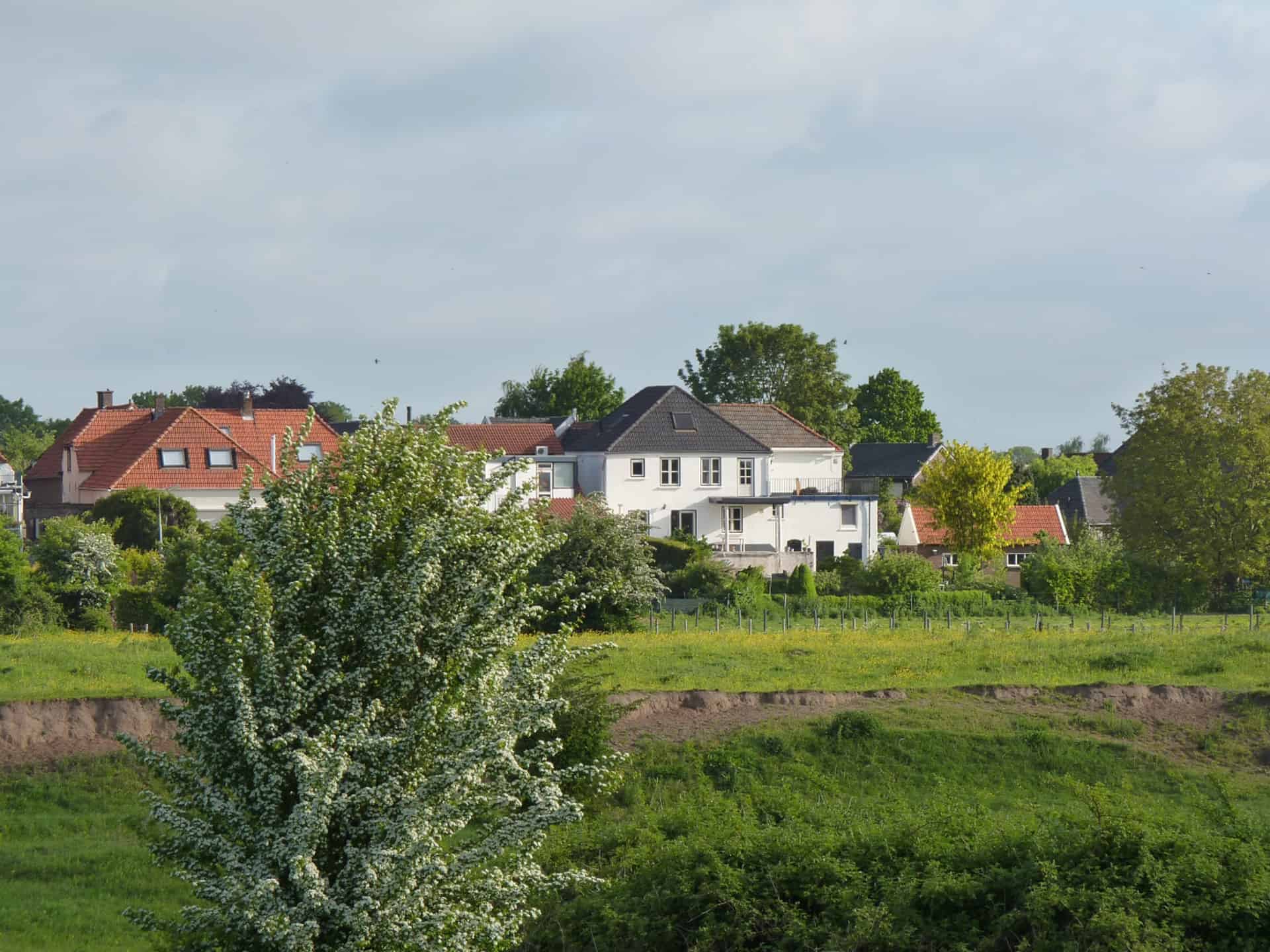 Gezicht op huizen en groene velden op 't Gelders Eiland, met een grote boom op de voorgrond.
