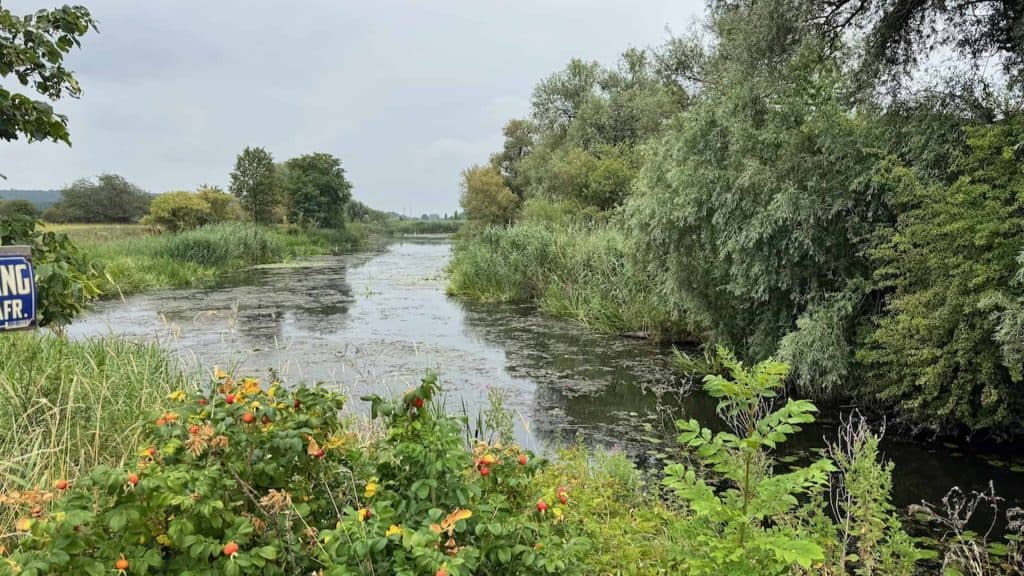 Zuid-Willemsvaart rivier met groene oevers en bomen in de omgeving.
