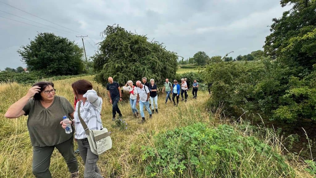 Rustige groep wandelaars op 't Gelders Eiland genieten van de natuur en het landschap. Ideaal voor n.