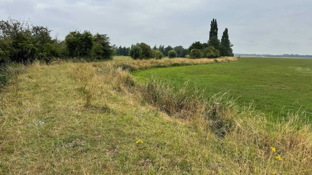 Natuurlijke landschap op 't Gelders Eiland met grasvelden en bomen onder een bewolkte hemel.