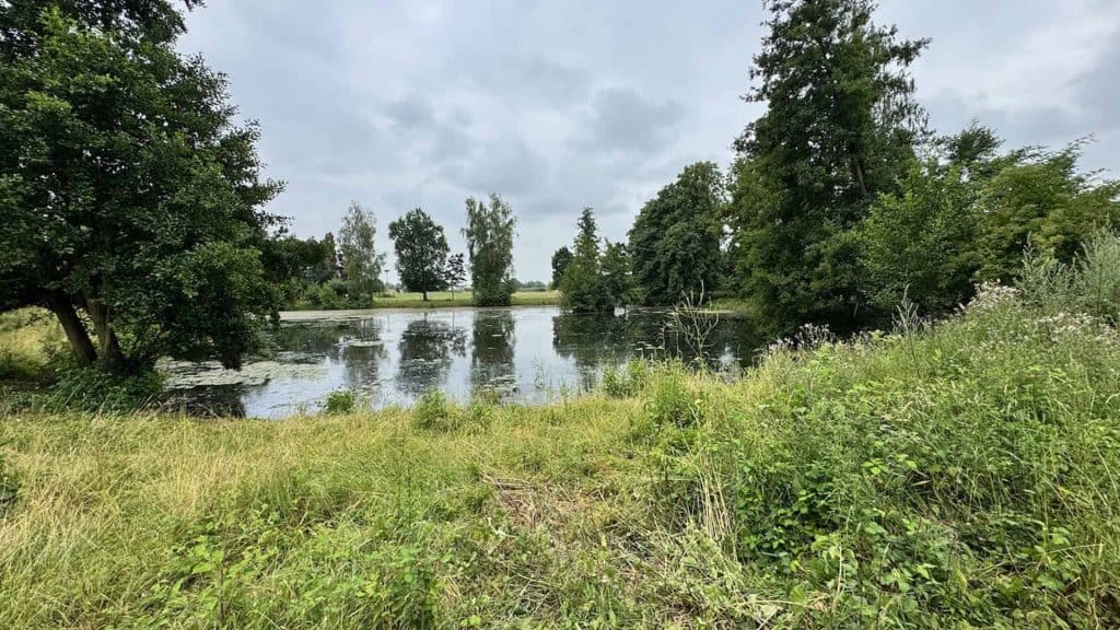 Zomerse natuur op 't Gelders Eiland met water en groene bomen.