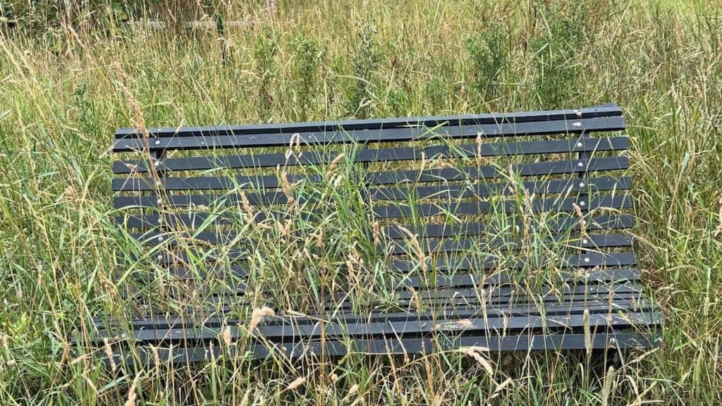 Bankje in een grasveld op 't Gelders Eiland, omgeven door hoge grassen en natuurlijke omgeving.