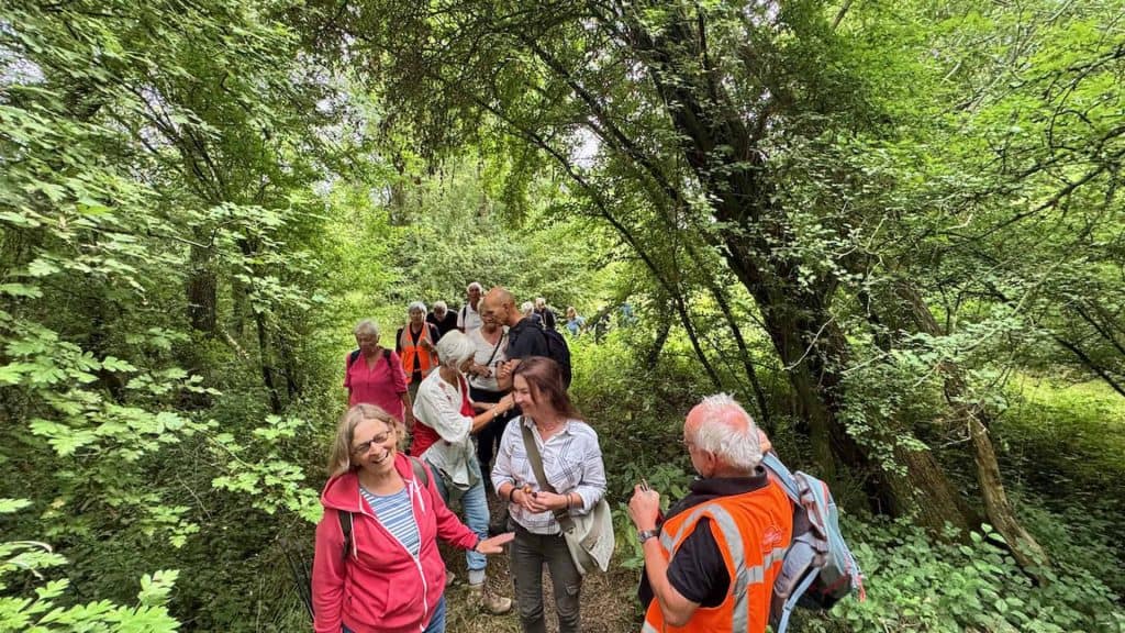 Hikinggroep op 't Gelders Eiland in een groen bosgebied.