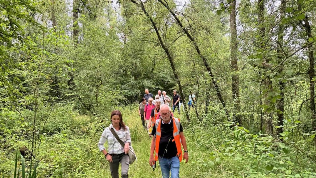 Wandelgroep in bosrijke omgeving op 't Gelders Eiland, genieten van natuur en frisse lucht.