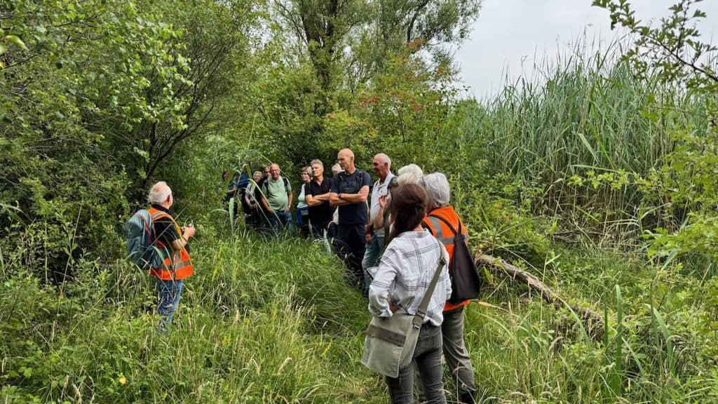 Natuurgids en wandelaars op 't Gelders Eiland tijdens een begeleide natuurwandeling.