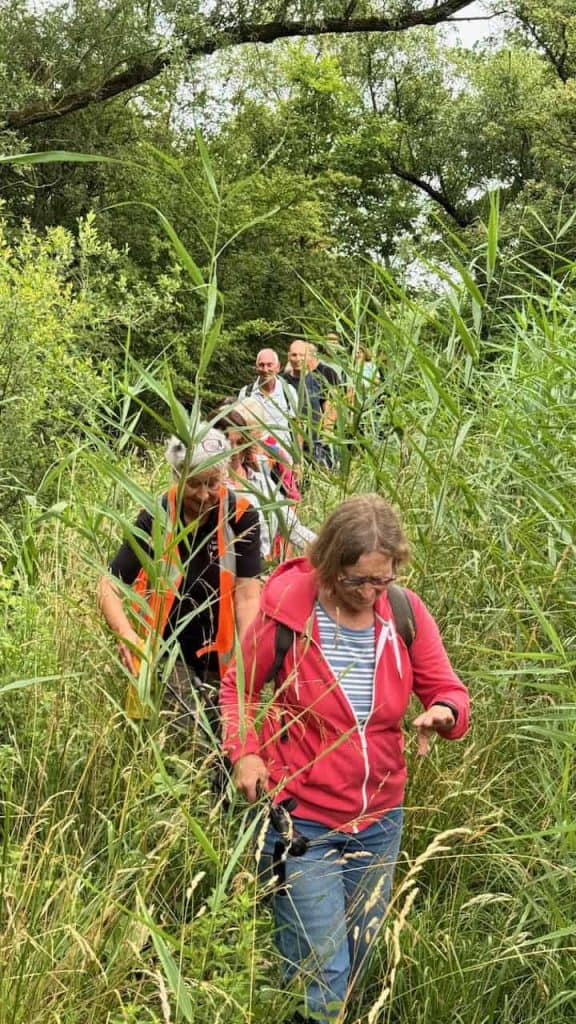 Natuurwandeling op 't Gelders Eiland met groep in groene omgeving.