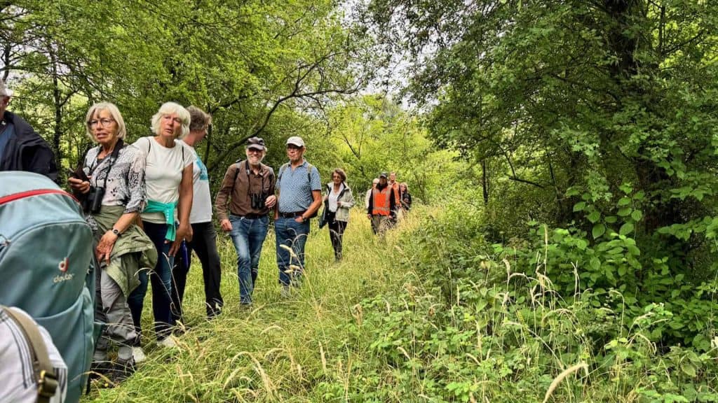 Zomerse wandeling op 't Gelders Eiland met groep wandelaars in groene natuur.