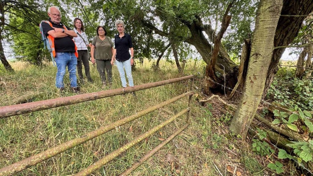 Natuurlijke omgeving op 't Gelders Eiland met drie mensen bij een boom en een houten hek.