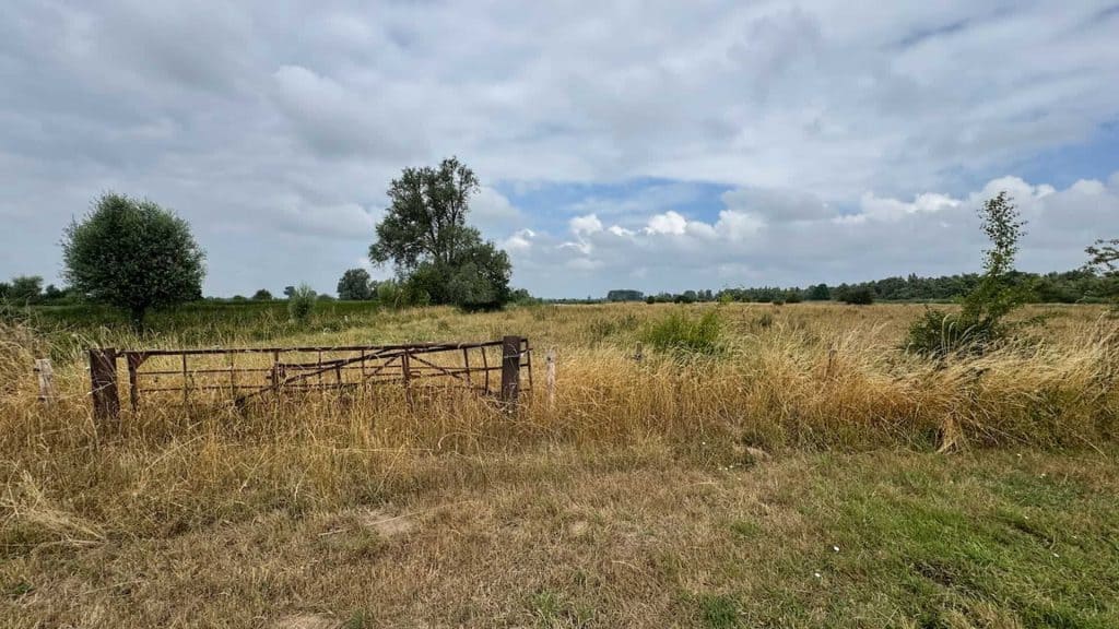 Zandweg en grasland op 't Gelders Eiland met bomen onder een bewolkte hemel.