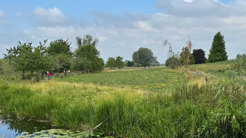 Zicht op het groene landschap en water op 't Gelders Eiland met wandelaars in de natuur.