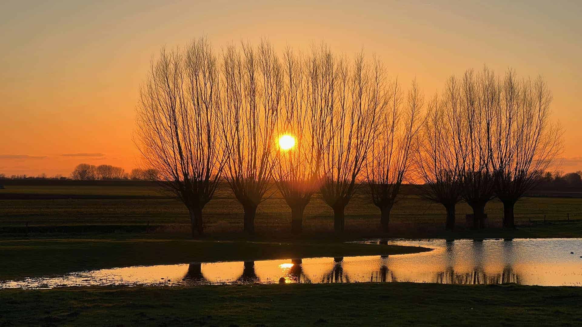 Zonsondergang achter bomen op 't Gelders Eiland tijdens zomeravond.