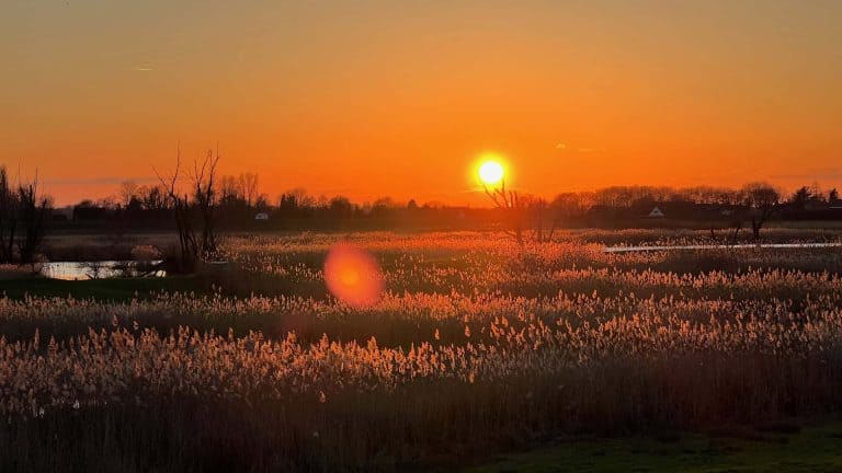 Zonsondergang boven de natuur op 't Gelders Eiland tijdens zomeravond.